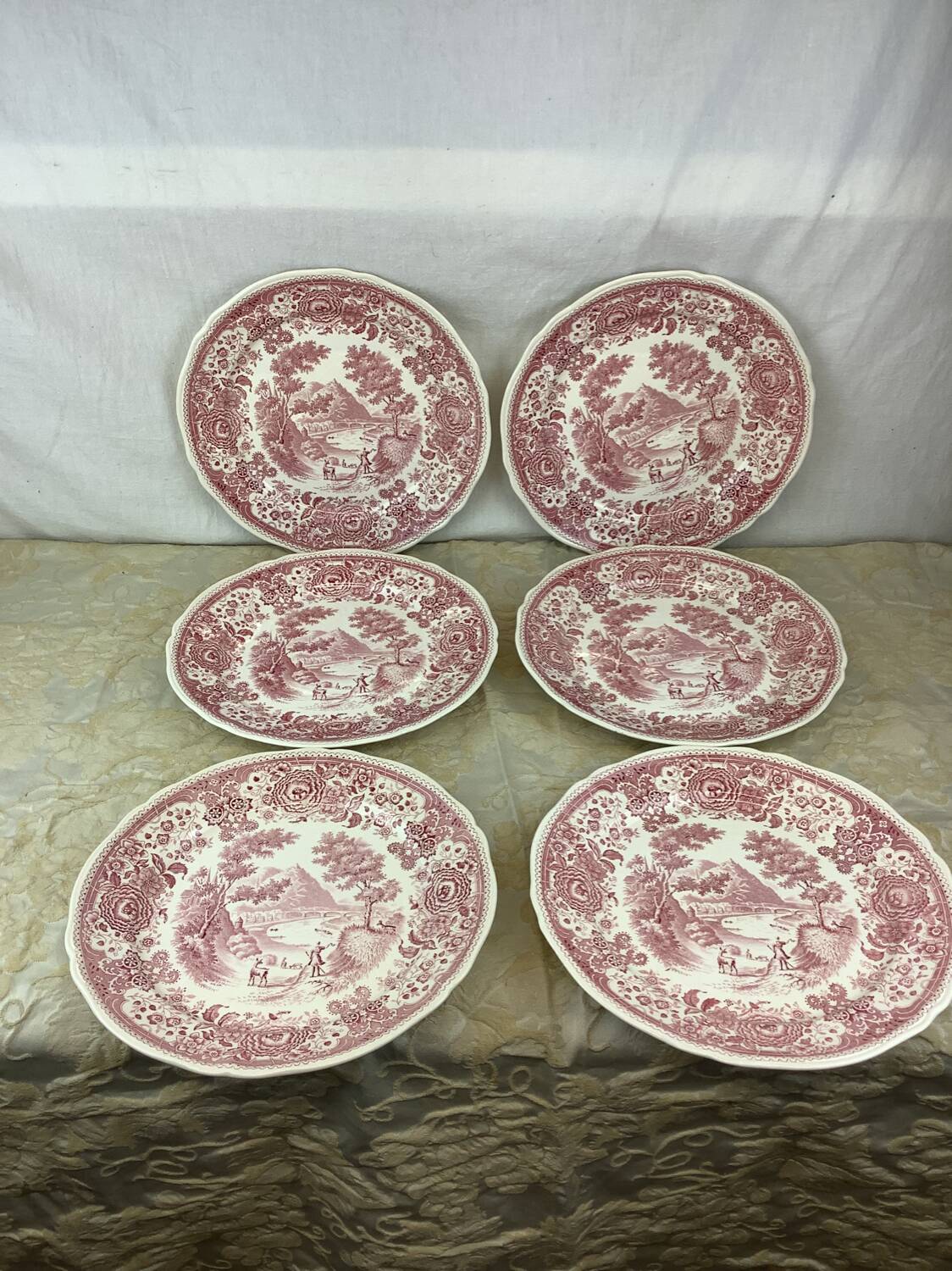 6 Villeroy and Boch Dinner Plates