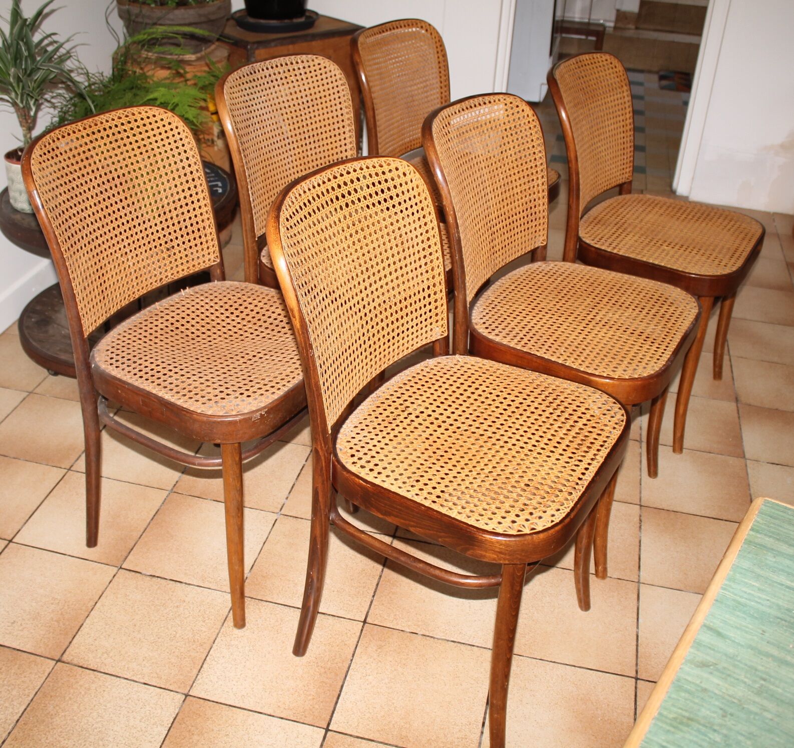 Set of 6 chairs canned drevounia