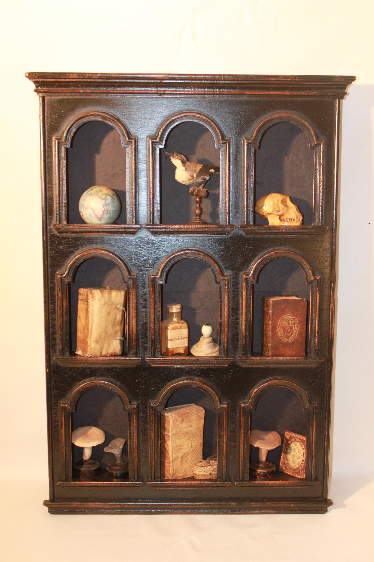 Shelf-cabinet of curiosities