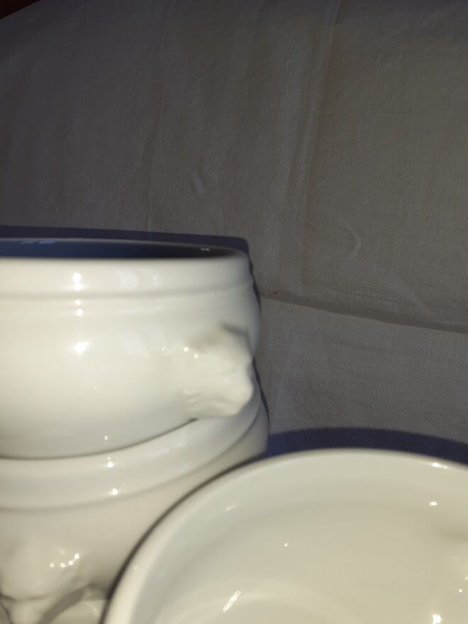 Lion's head soup bowls