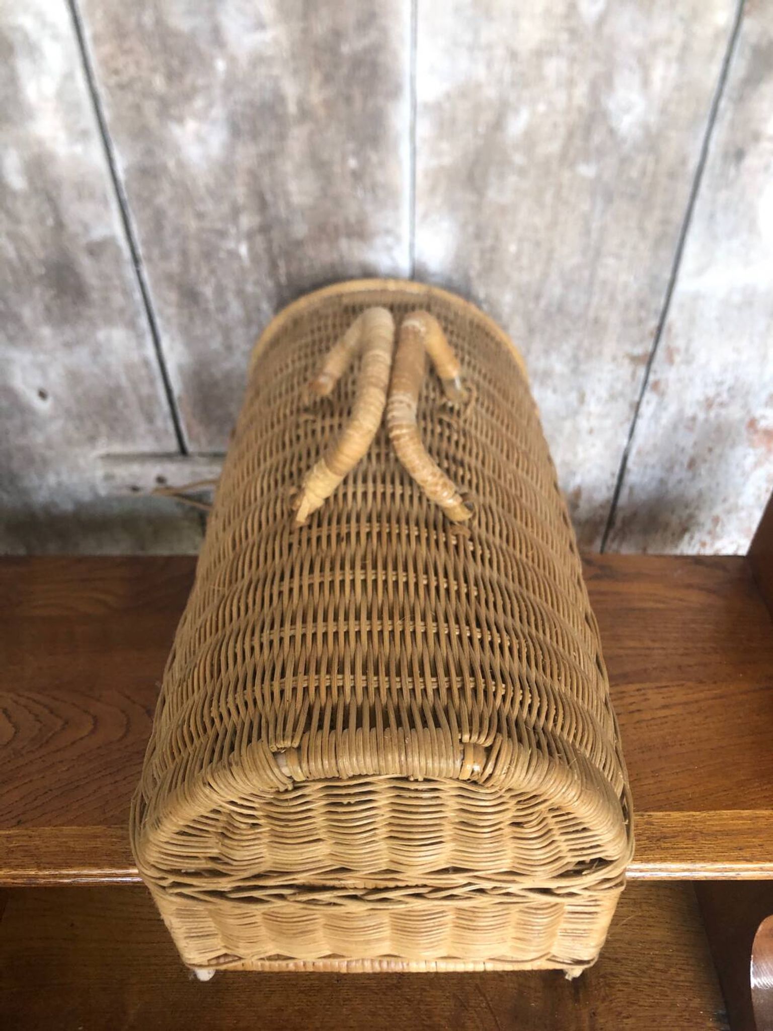 Old basket transport trunk rattan cage puppies kittens animals vintage