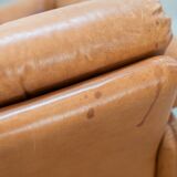 Pair of armchairs with cognac-colored pouf, "Coronado" model by Afra & Tobia scarpa for B&B It