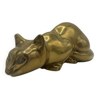 Golden lying cat