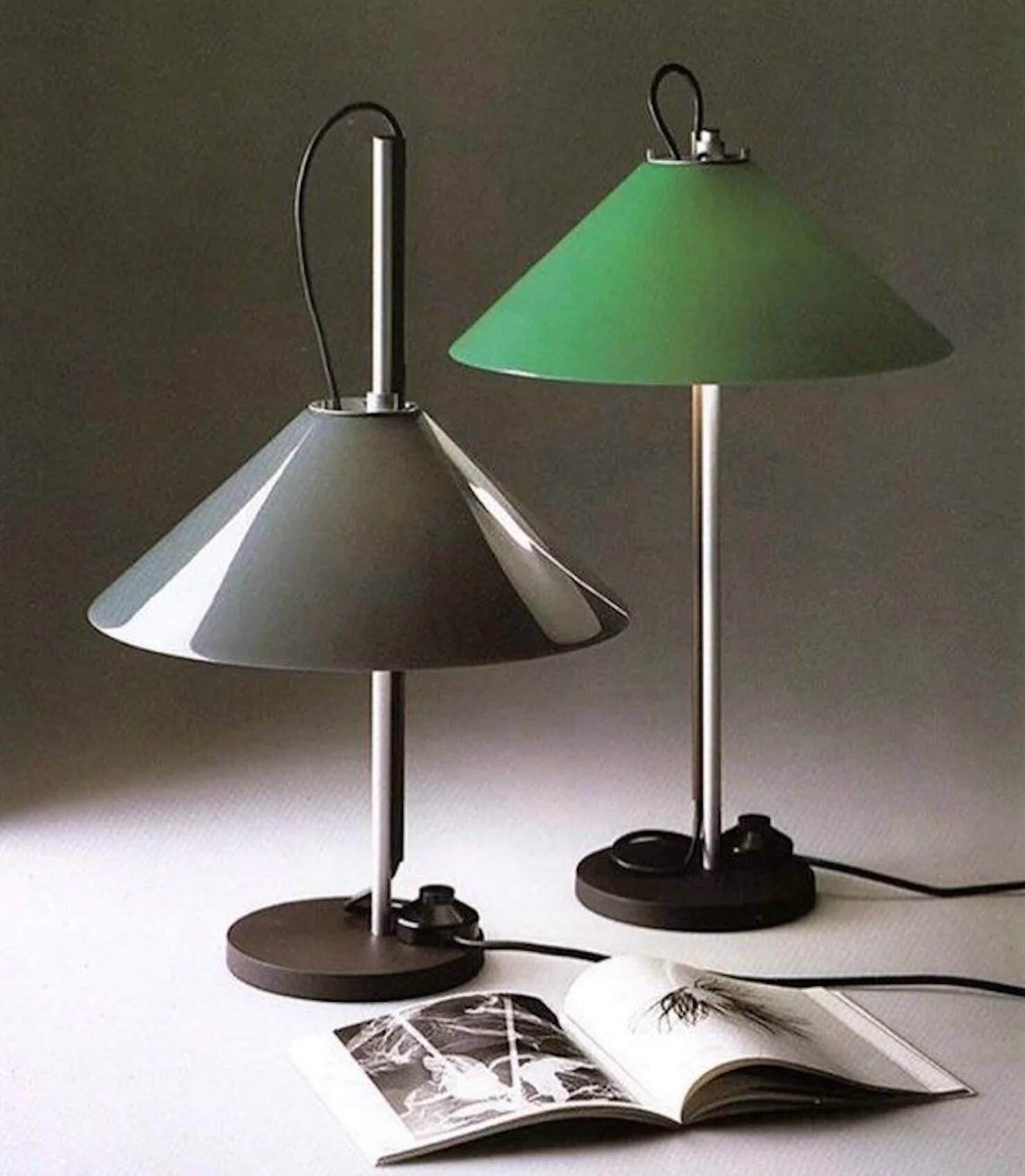 Enzo Mari Agregatto Tavolo Stelo Table Lamp