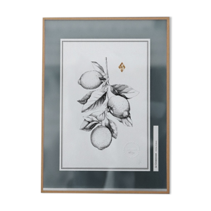 Tableau Le Citronnier