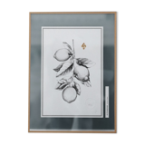 Painting " The Lemon Tree "