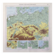 Carte ancienne Europe du Nord Allemagne Pologne Danemark  43x43cm de 1950