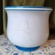 Napoleon iii planter