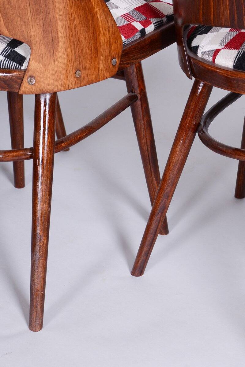 Mid-Century Chairs in Beech by Oswald Haerdtl, 1950s, Set of 6