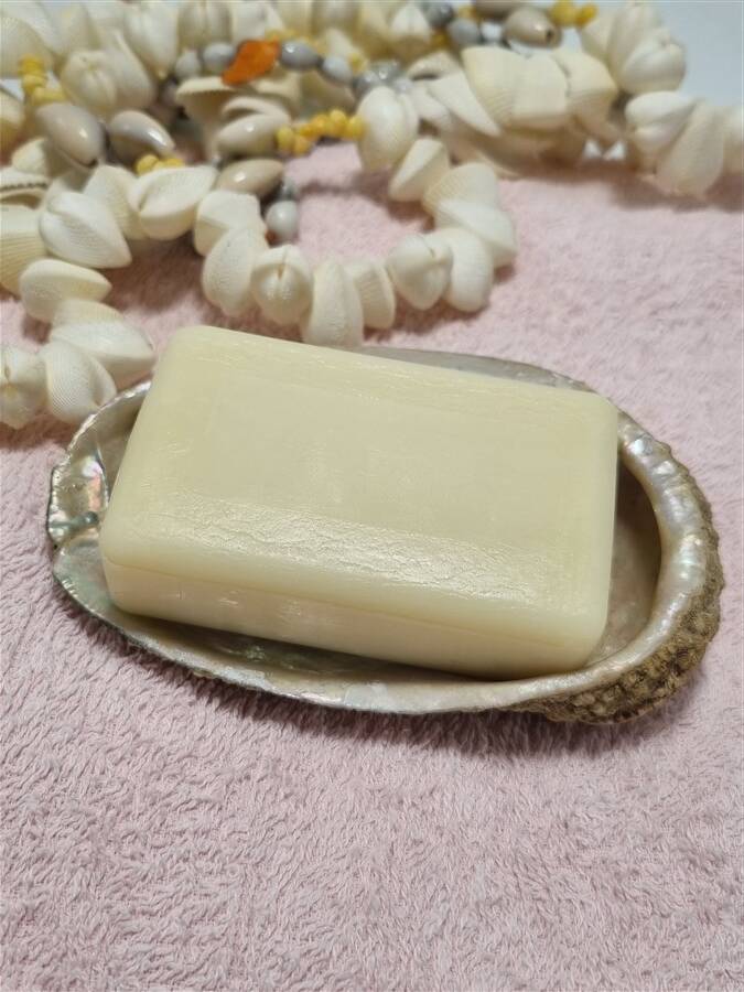 Shell-shaped catchall