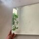 Long old beveled mirror Marc Uzan
