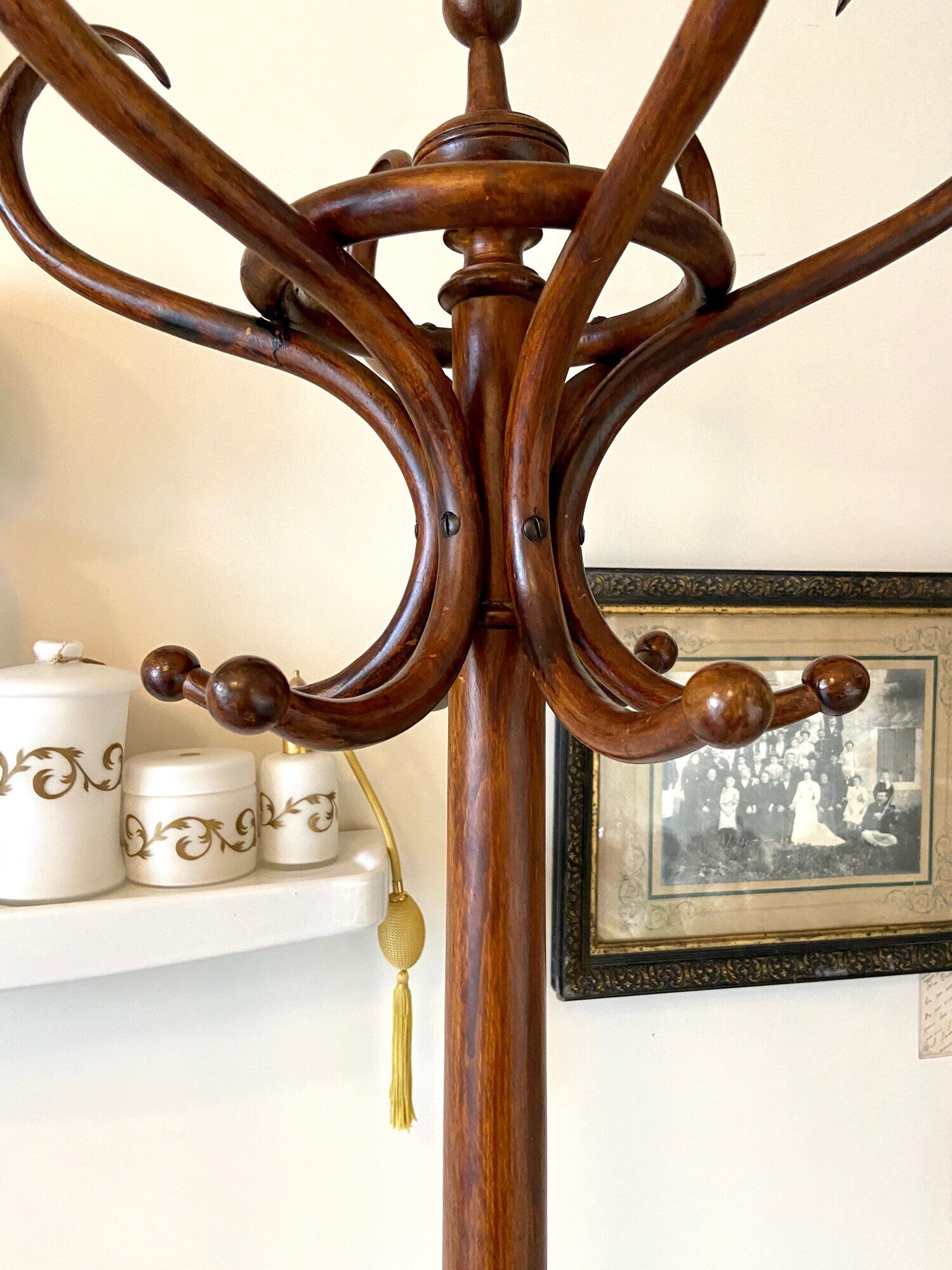 Parrot and dark arched beech coat rack