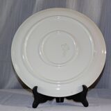 Large dish
