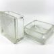 2 Pocket emptiers/ashtrays/paperweights • Lumax • Saint-Gobain • 1950