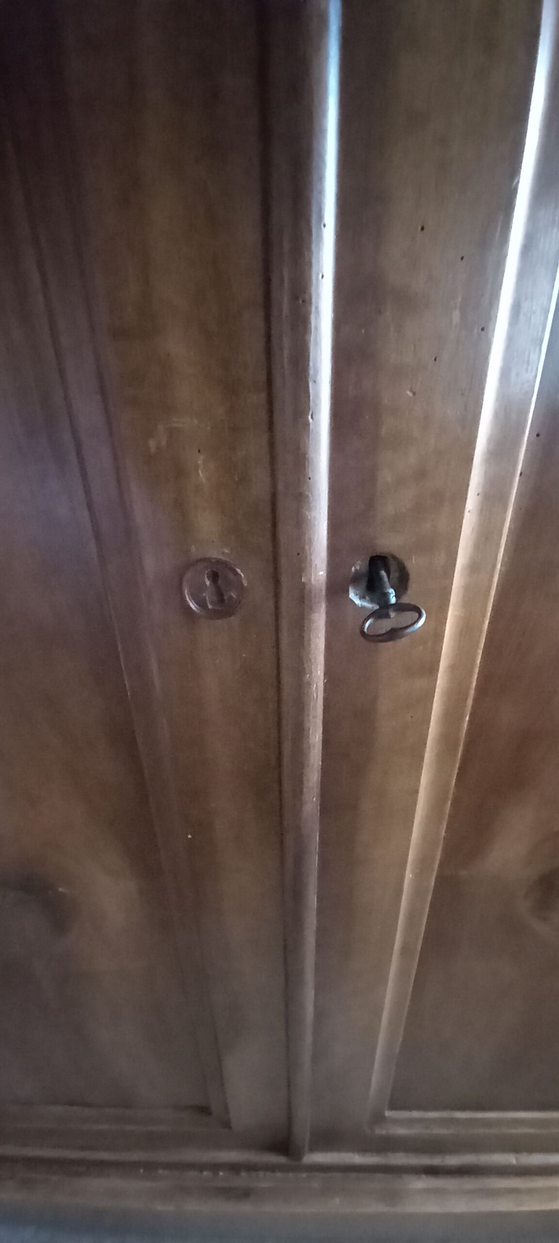 Louis Philippe style wardrobe