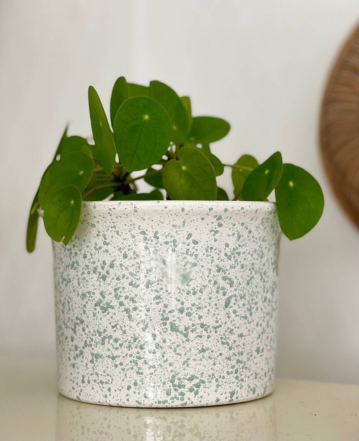Speckled ceramic planter