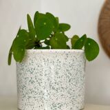 Speckled ceramic planter