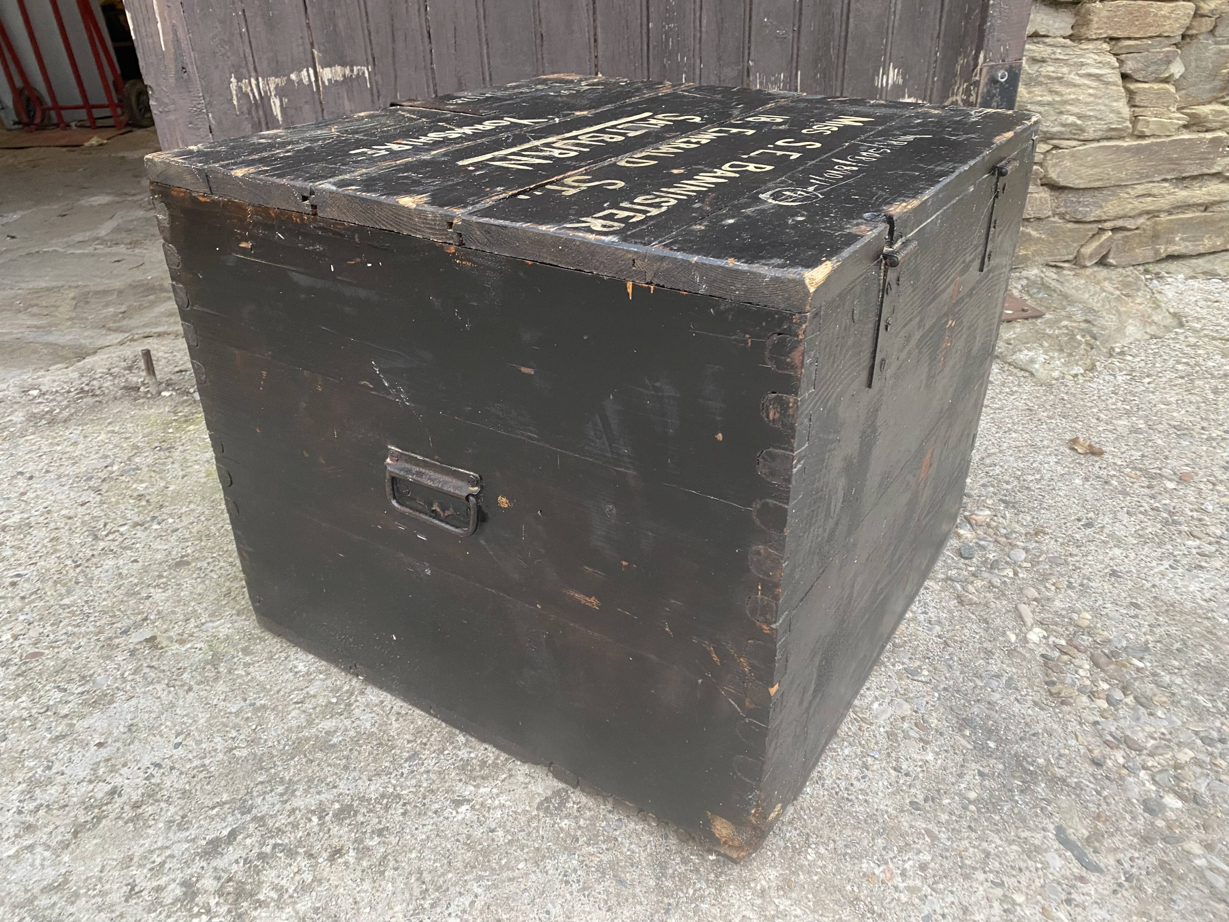 Large old trunk