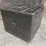 Large old trunk