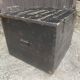 Large old trunk