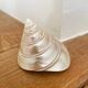 Petit coquillage : Trochus