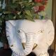 Elephant plant pot