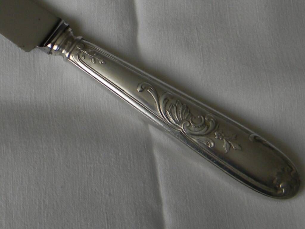 Set of 12 knives with silver metal handles and stainless steel blades.
