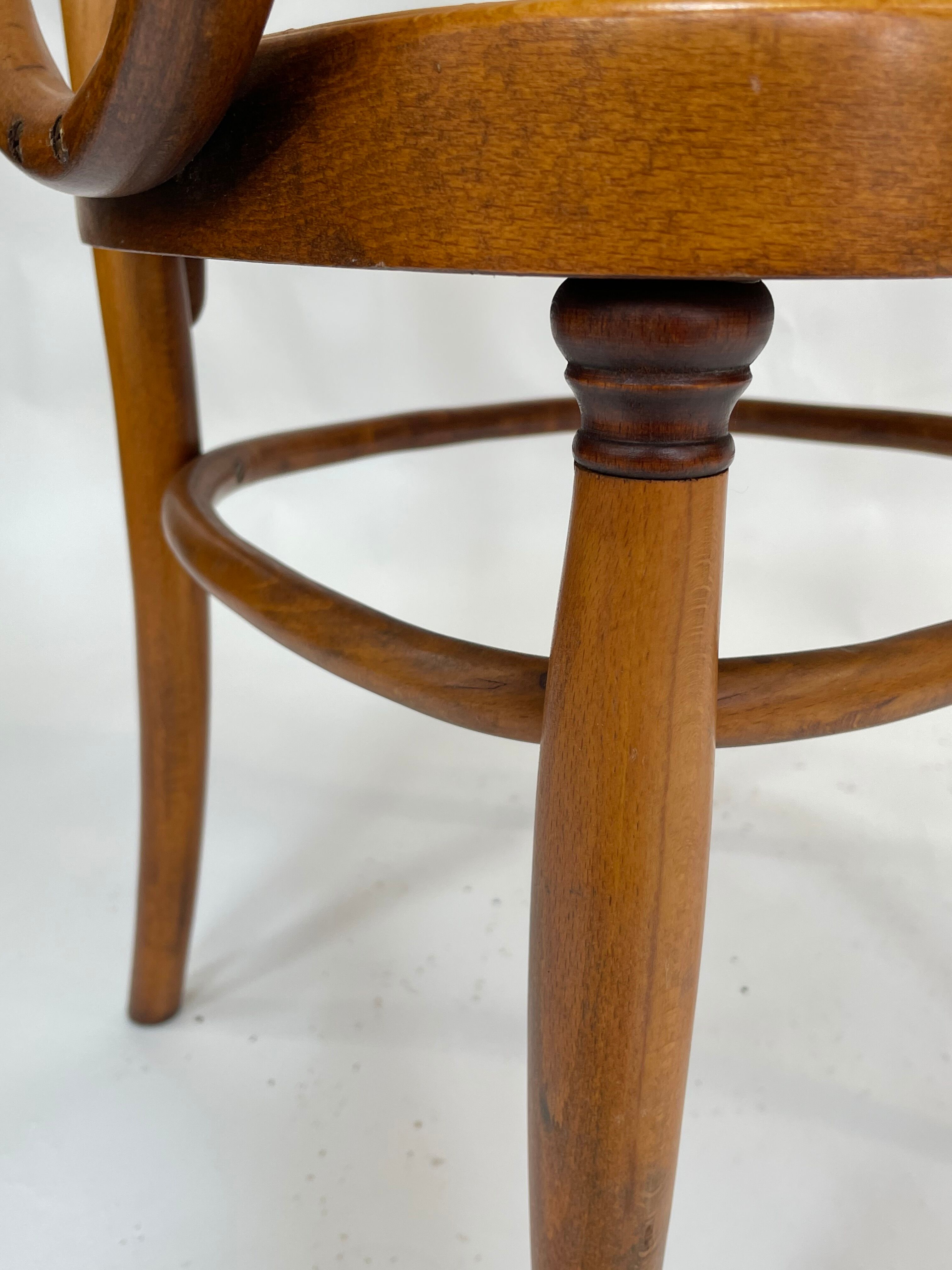 Sculptural bendwood side chair model