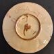 Glazed ceramic plate Puigdemont fruits, 1960