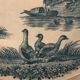 9 dessert plates old chickens, geese and pheasants blue field service Terre de Fer