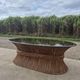 Sheaf of wheat bamboo coffee table glass top 1970s McGuire