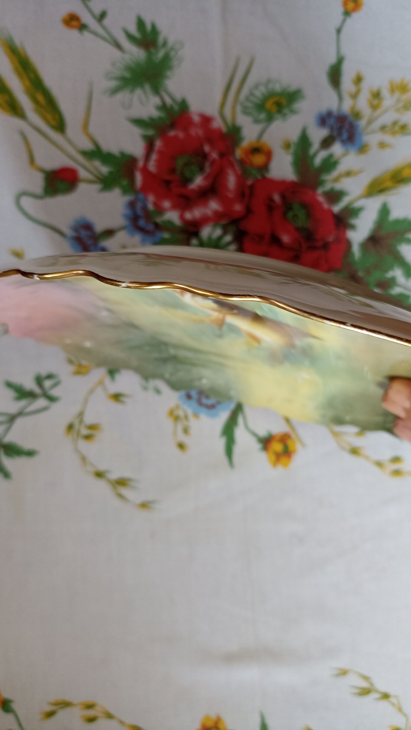 Plate n°3 - Balleroy, mandavy and de Mavaleix 1904-1908