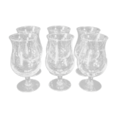 6 verres a Vin de Degustation Bordeaux Bourgogne
