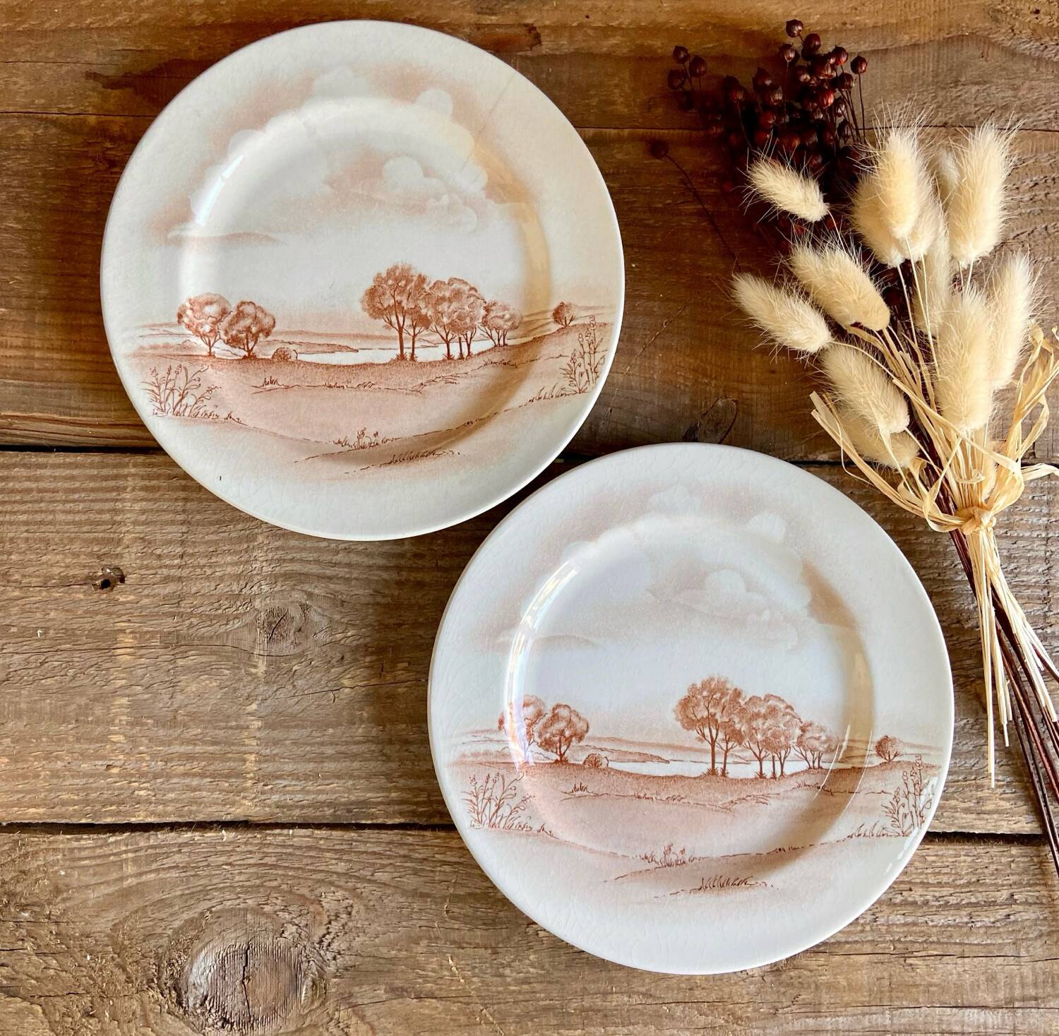 Vintage landscape plate