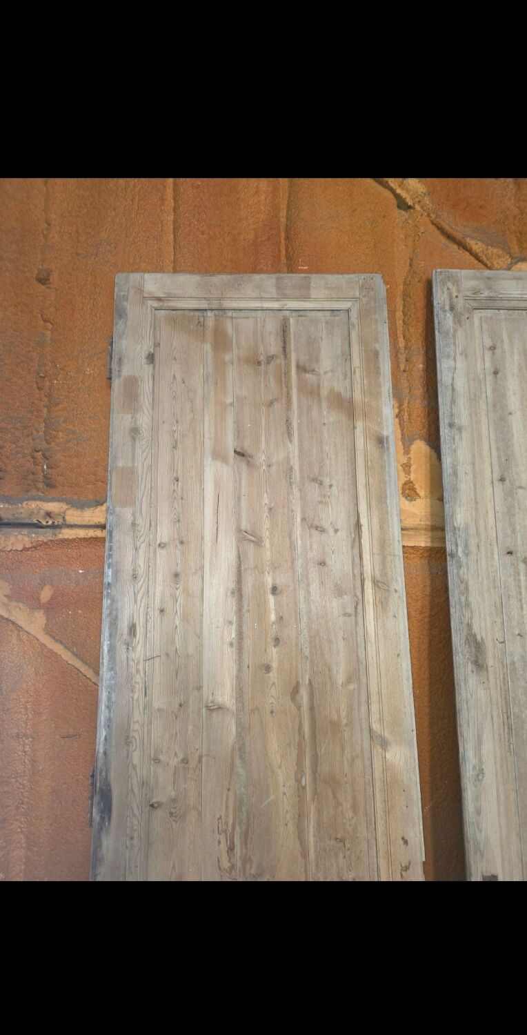 Pair of doors, 19th century