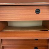 Teak veneer shoe cabinet, 1960s