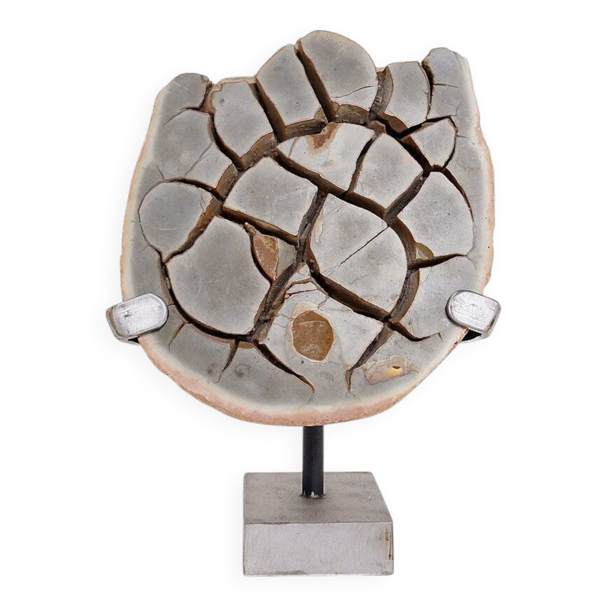 Custom Septarian Nodule on Base