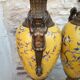 Paire de grands vases couverts - 60cm - faïence jaune