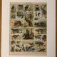 Lithograph of animals (elephant, monkey, bear, lion, deer) - 1900