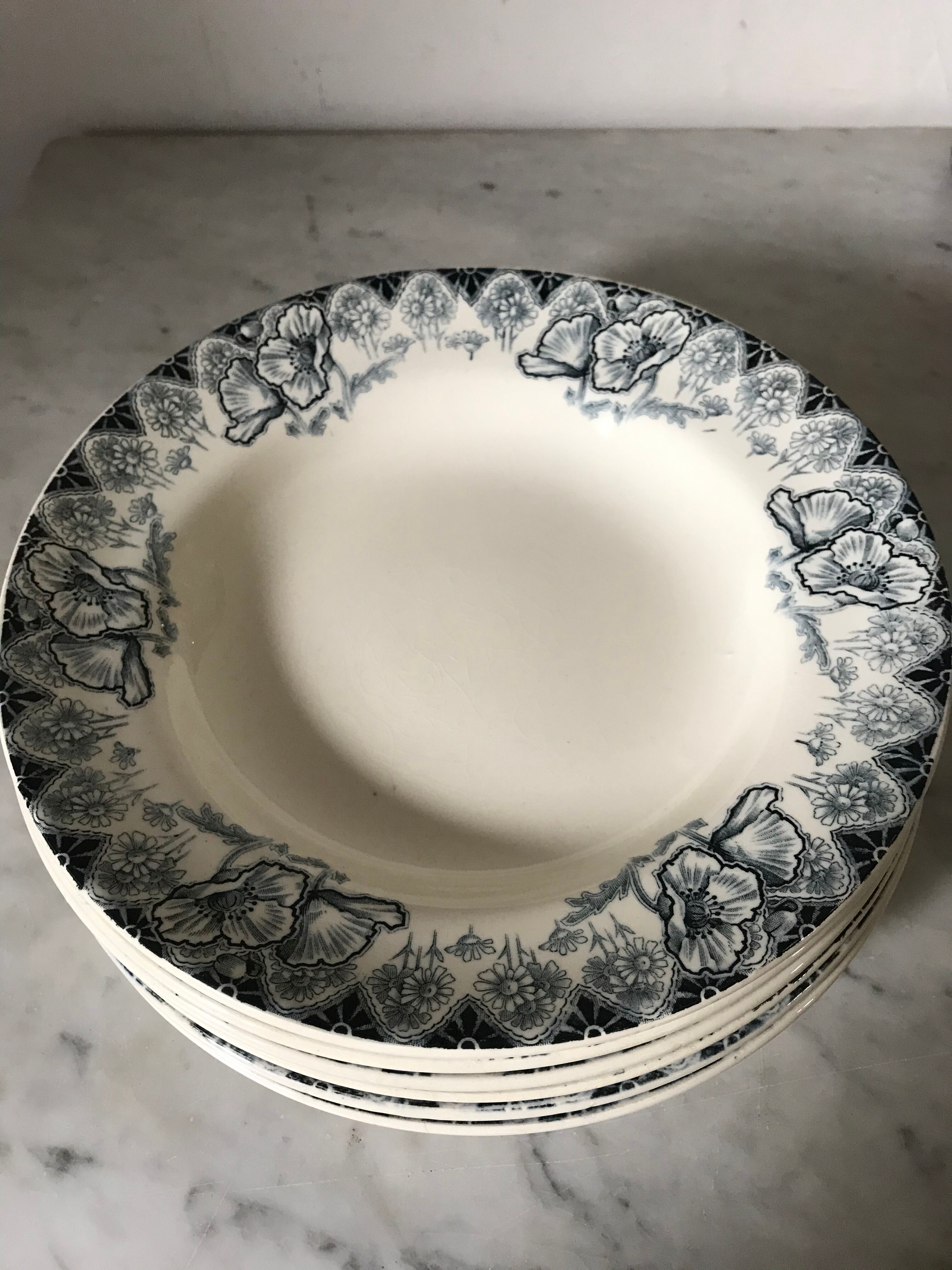 Six hollow plates Terre de Fer