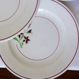5 flat plates from Salins