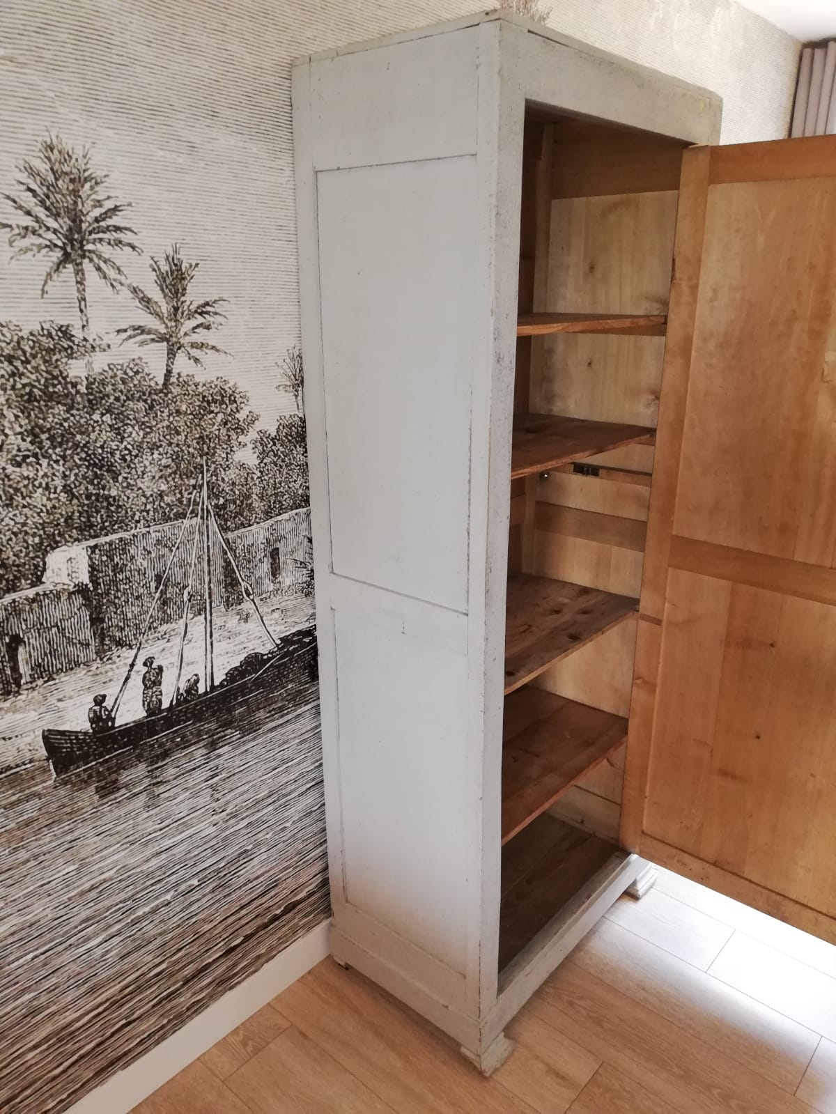 Old Parisian wardrobe 19th century