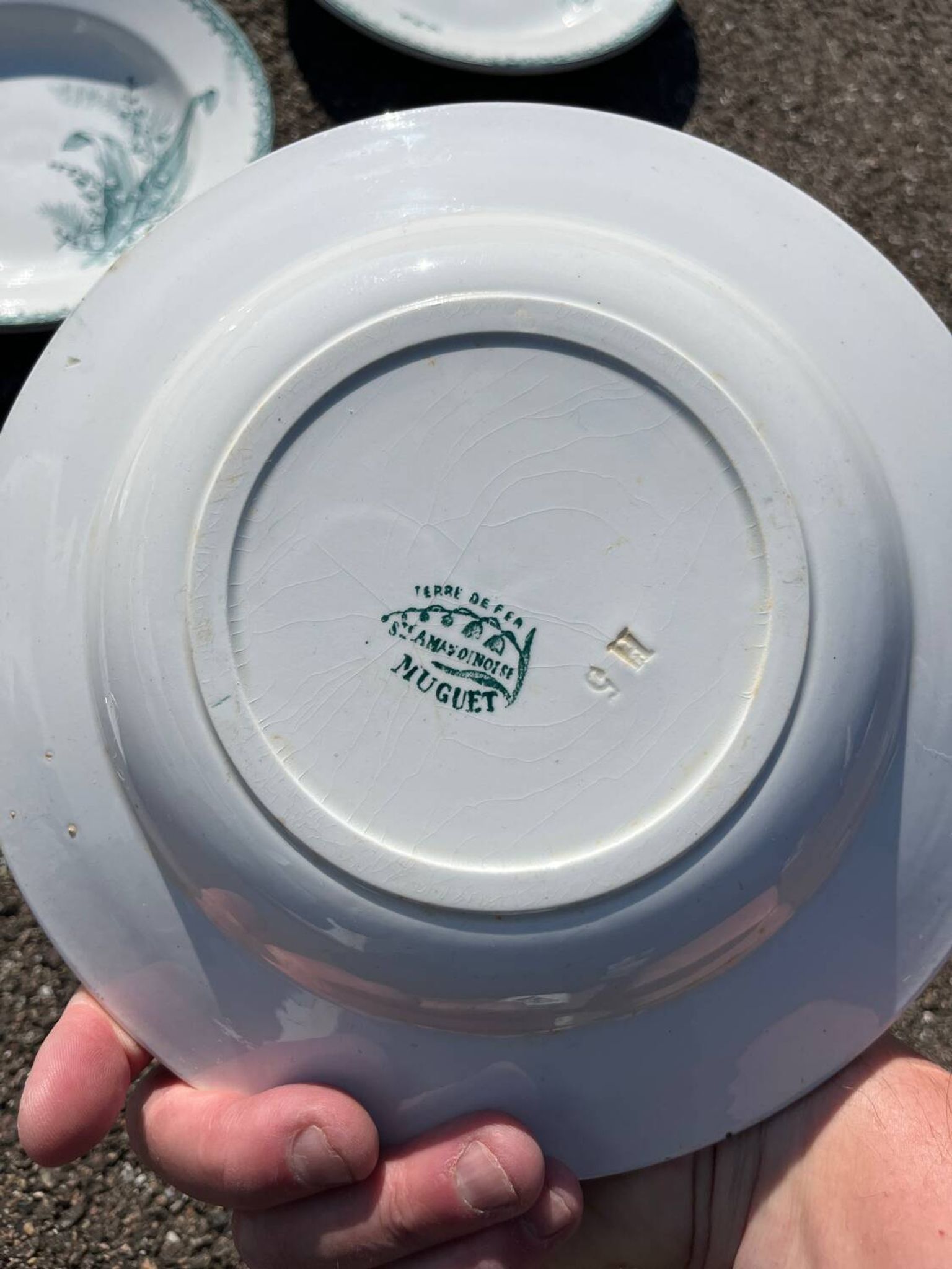 Set of 6 old Sainte Amandinoise earthenware plates with lily of the valley decor
