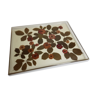 Grand plateau avec inclusion de roses sauvages 50 cm