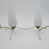 Pair of vintage brass tripod lamps and opaline tulips
