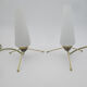 Pair of vintage brass tripod lamps and opaline tulips