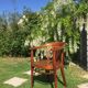 Thonet chair
