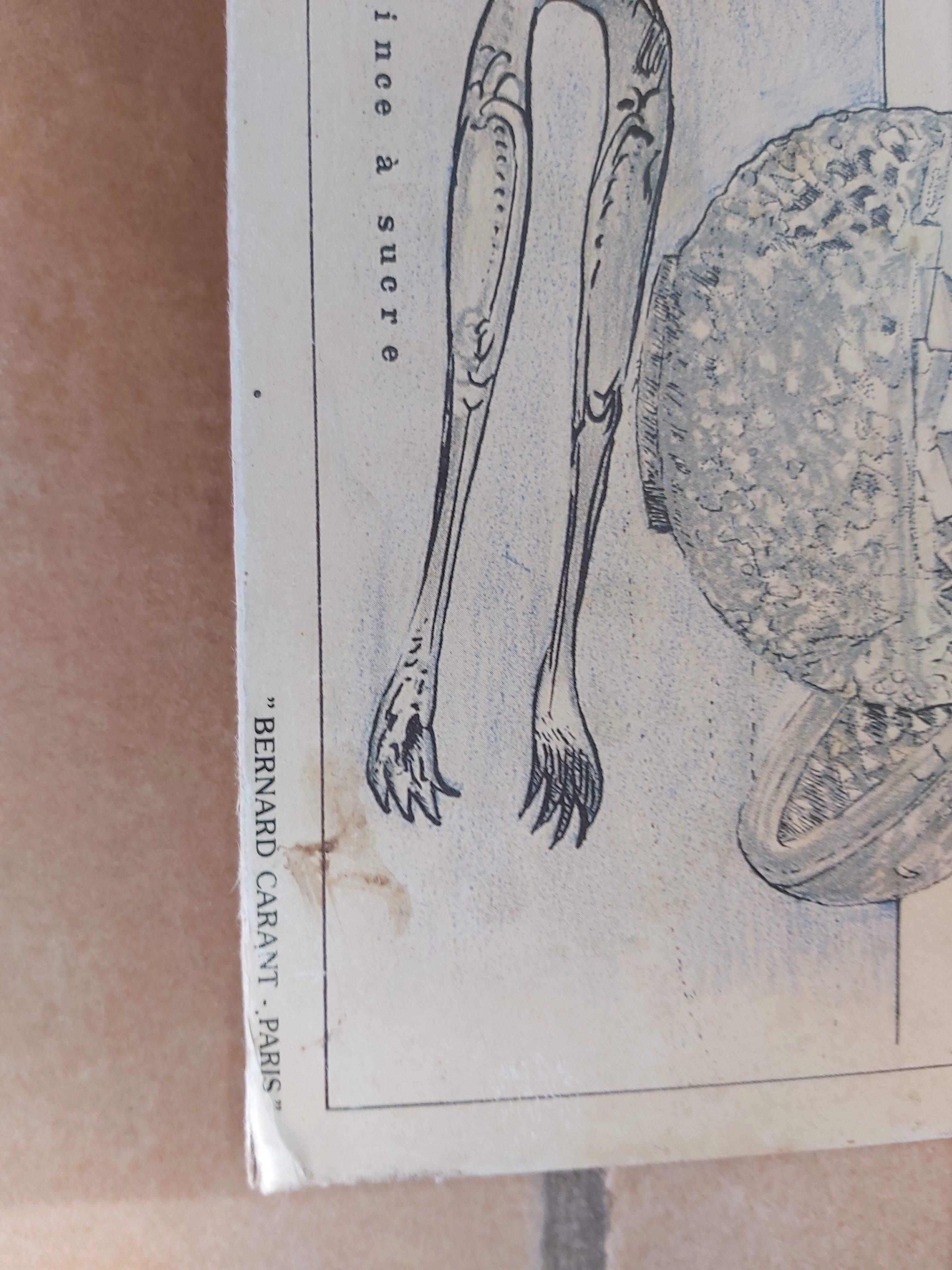 Vintage Deyrolle cardboard school poster