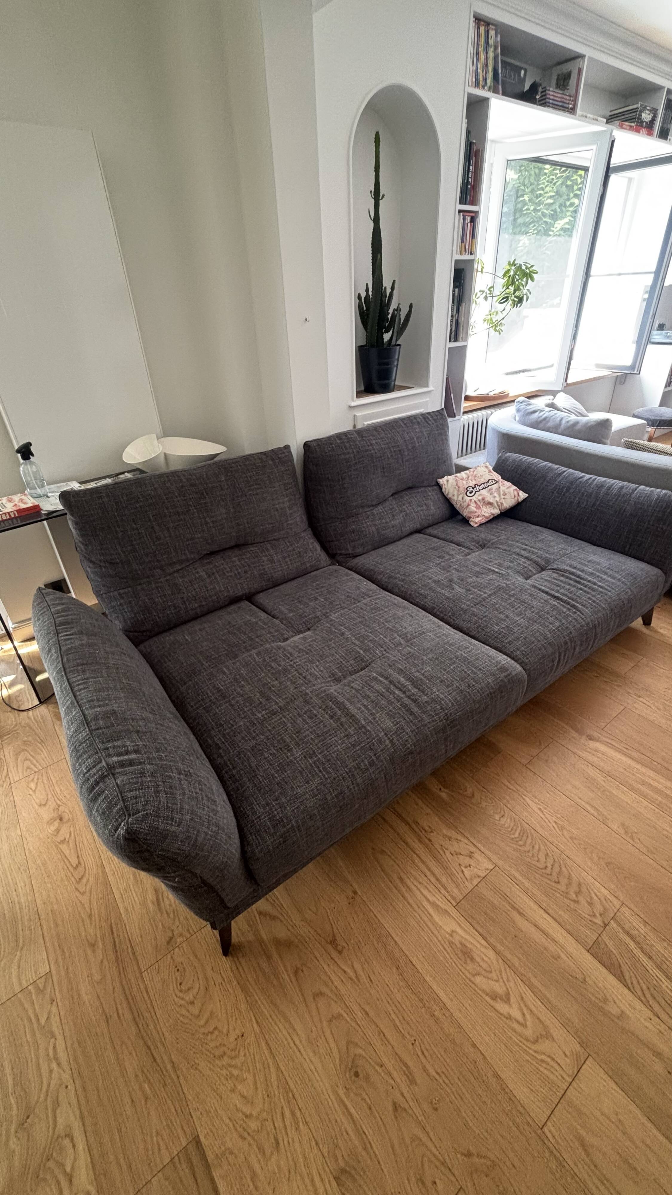 Canapé Roche Bobois