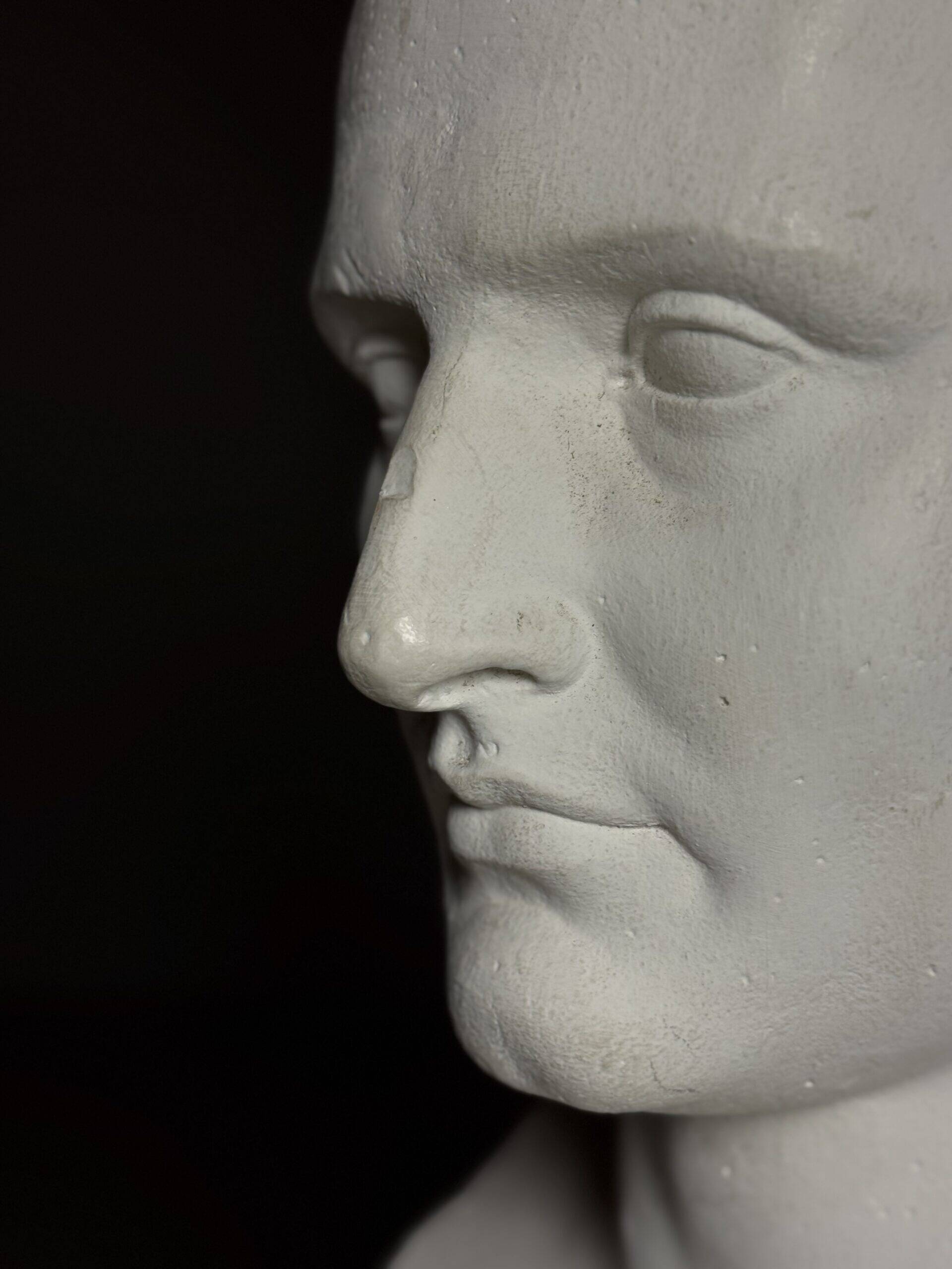 Buste de Napoléon en plâtre, 20e siècle.